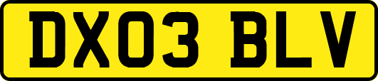 DX03BLV