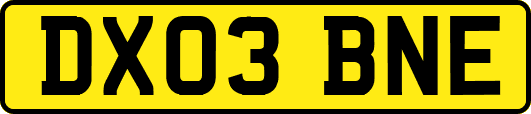 DX03BNE