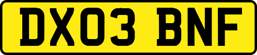 DX03BNF
