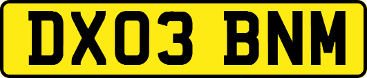 DX03BNM