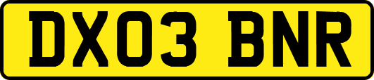 DX03BNR