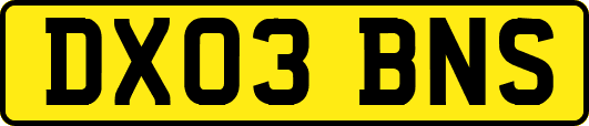 DX03BNS