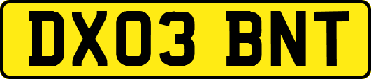 DX03BNT