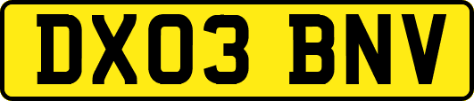 DX03BNV