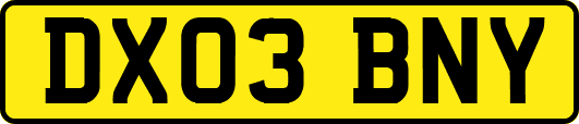 DX03BNY