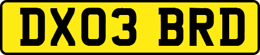 DX03BRD