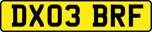 DX03BRF