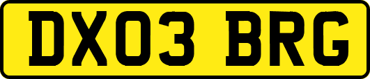 DX03BRG