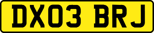 DX03BRJ