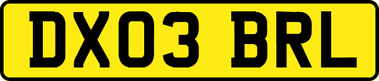 DX03BRL