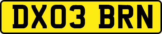 DX03BRN