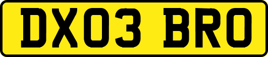 DX03BRO