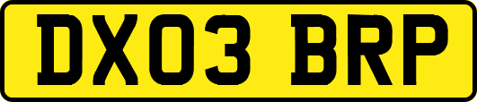 DX03BRP