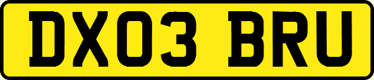 DX03BRU