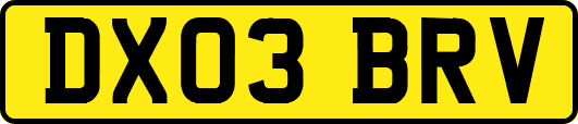 DX03BRV