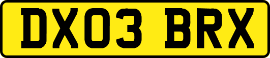DX03BRX
