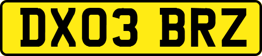 DX03BRZ