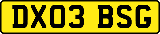 DX03BSG