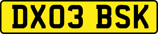 DX03BSK