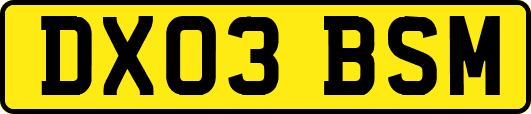 DX03BSM