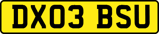 DX03BSU
