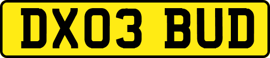DX03BUD