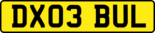 DX03BUL