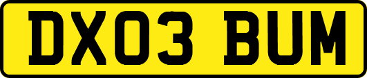 DX03BUM
