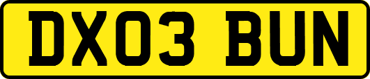 DX03BUN