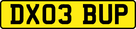 DX03BUP