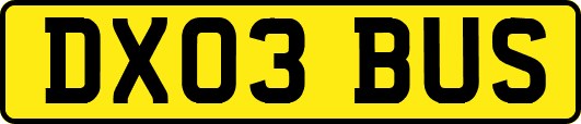 DX03BUS