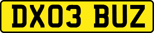 DX03BUZ