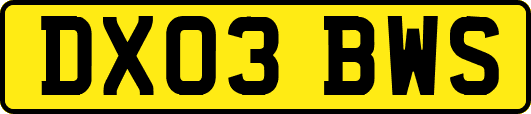 DX03BWS