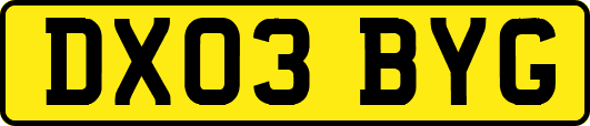 DX03BYG