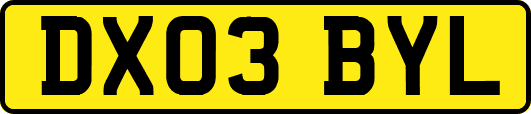 DX03BYL