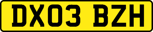 DX03BZH
