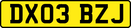 DX03BZJ