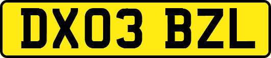 DX03BZL