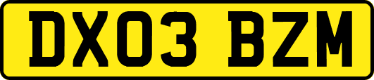 DX03BZM