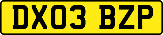 DX03BZP