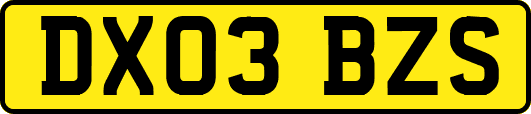 DX03BZS