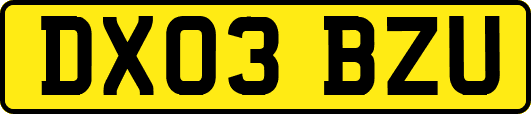 DX03BZU