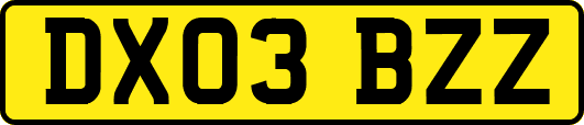 DX03BZZ