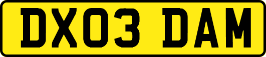 DX03DAM