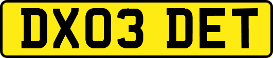 DX03DET