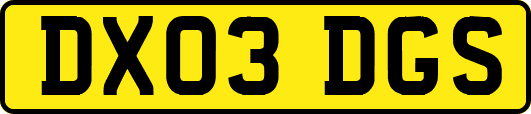 DX03DGS