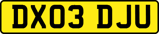 DX03DJU
