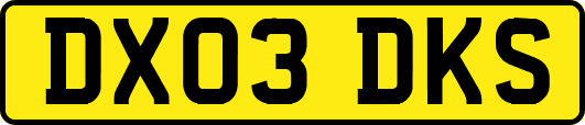 DX03DKS