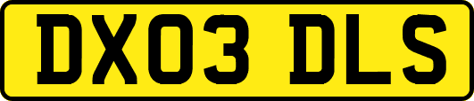 DX03DLS