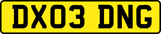 DX03DNG